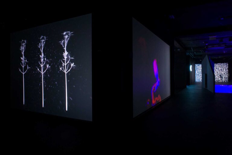Lumia interactive exhibition